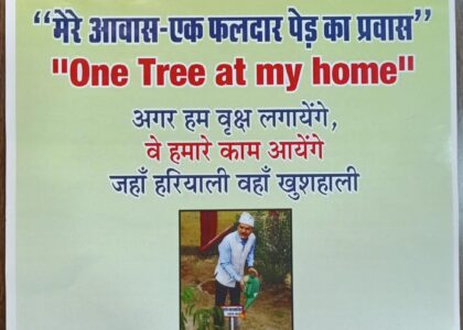 मेरे आवास – एक फलदार पेड़ का प्रवास: हर घर हरियाली की ओर एक संकल्प