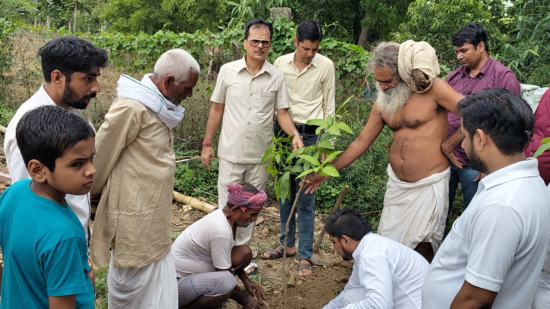 मेरे आवास एक फलदार पेड़ का प्रवास