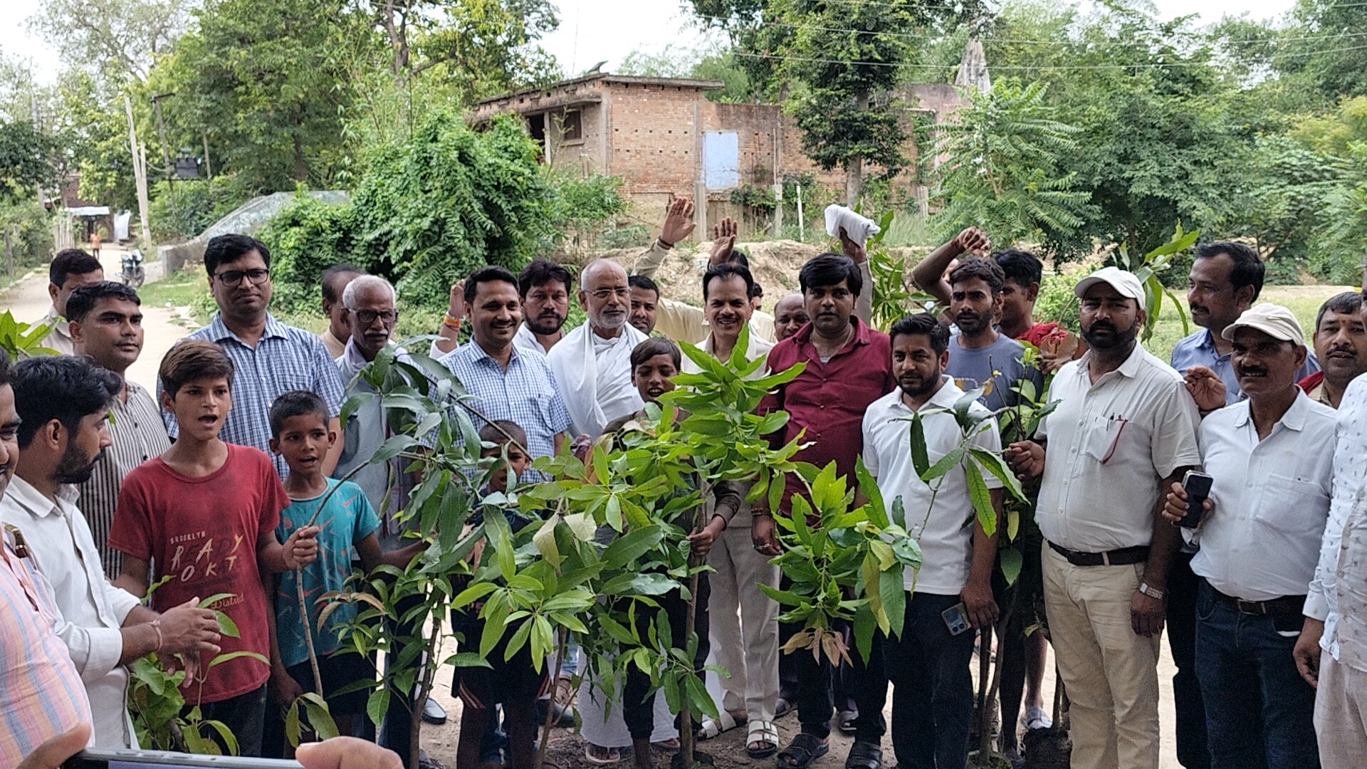 मेरे आवास एक फलदार पेड़ का प्रवास