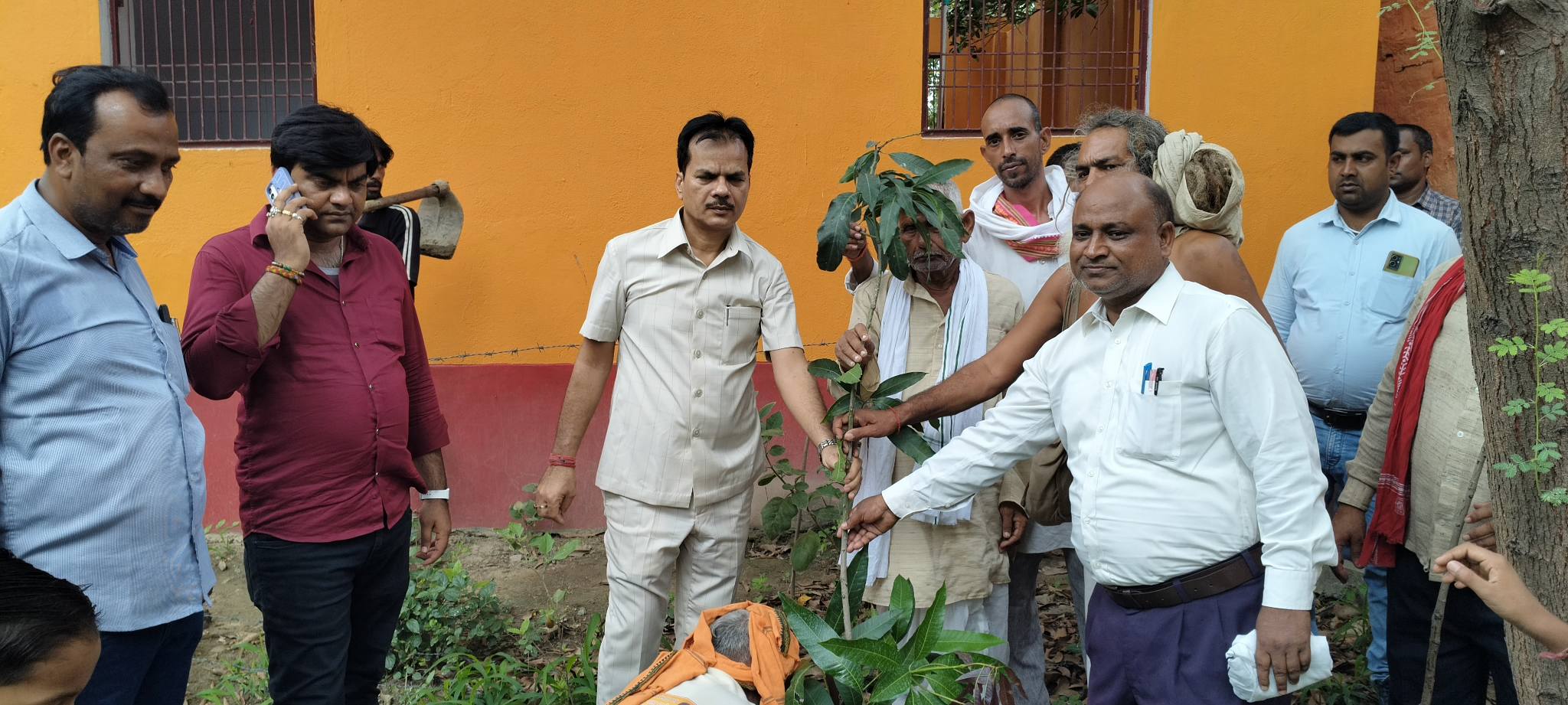 मेरे आवास एक फलदार पेड़ का प्रवास