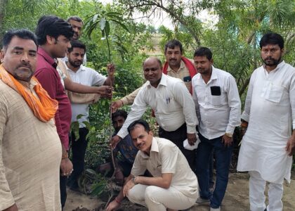 मेरे आवास – एक फलदार पेड़ का प्रवास: जनसहभागिता से हरियाली की ओर एक आंदोलन